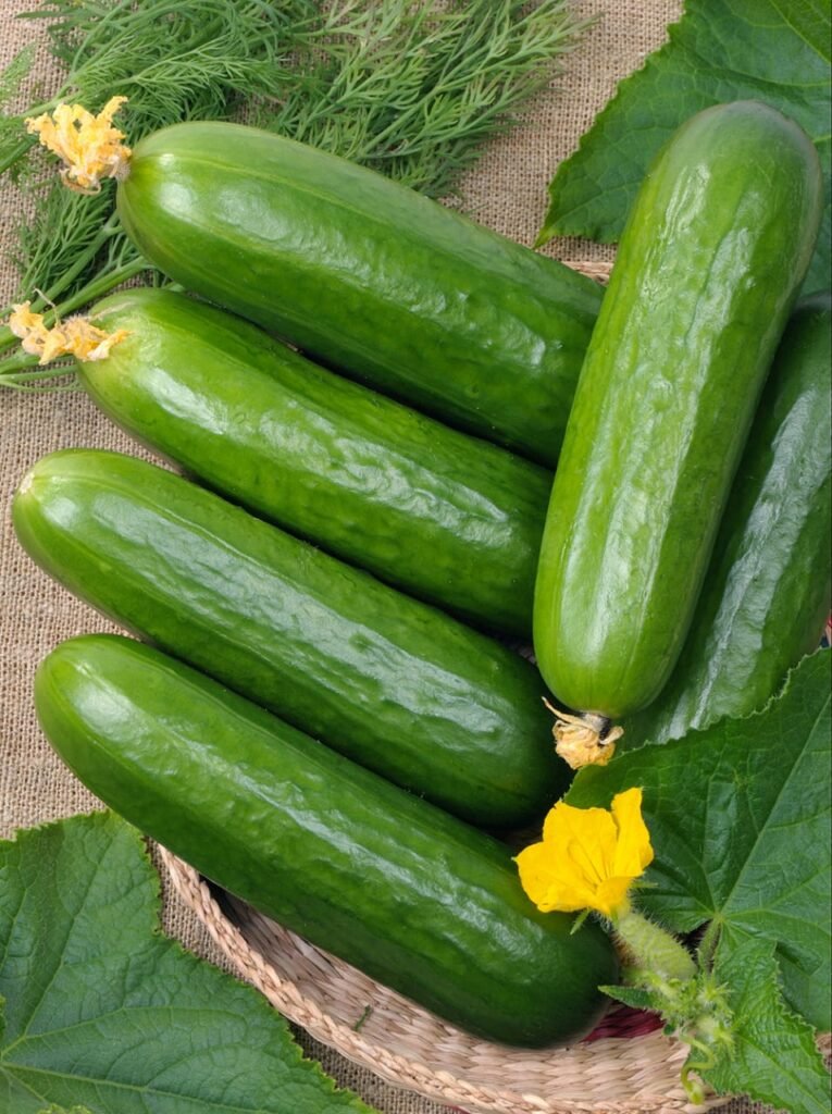 Mini cornichons : connu pour son saveur doux avec un parfum attirant