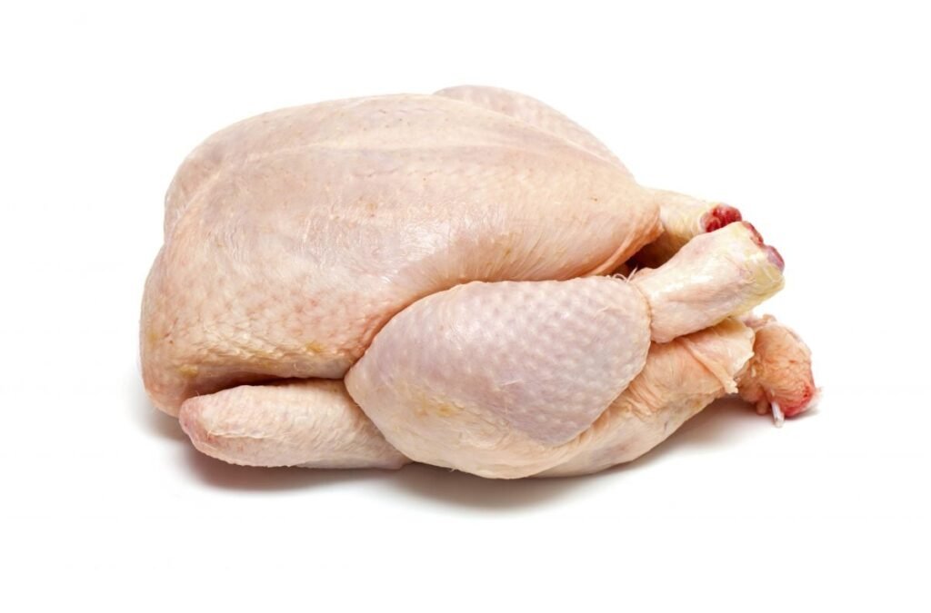 Poulet pondeuse