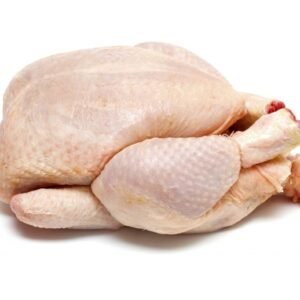 Poulet pondeuse