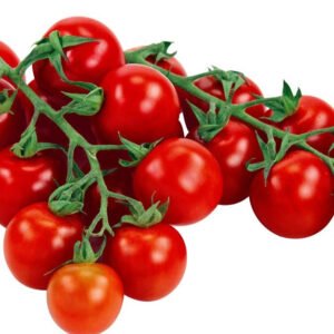 Tomate cerise ronde