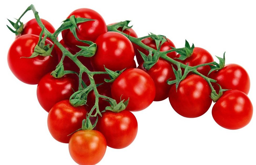 Tomate cerise ronde