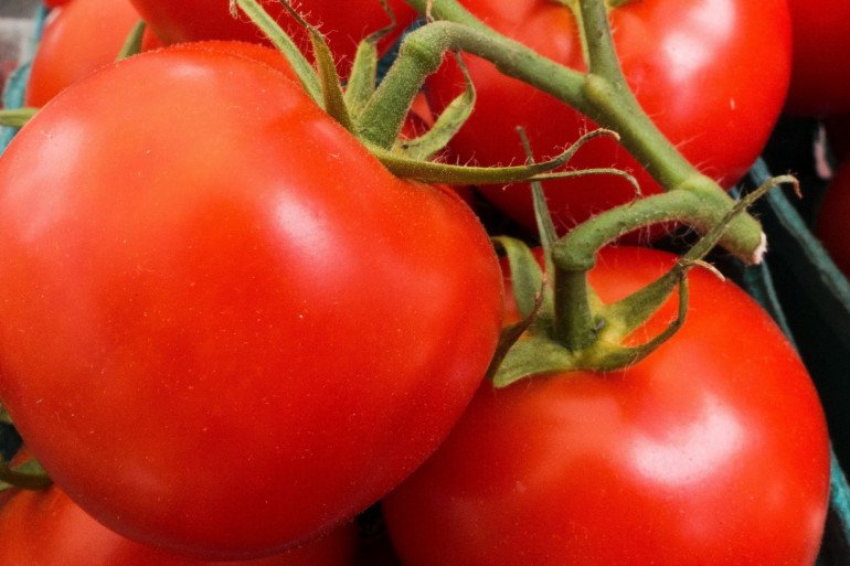 Tomate ronde