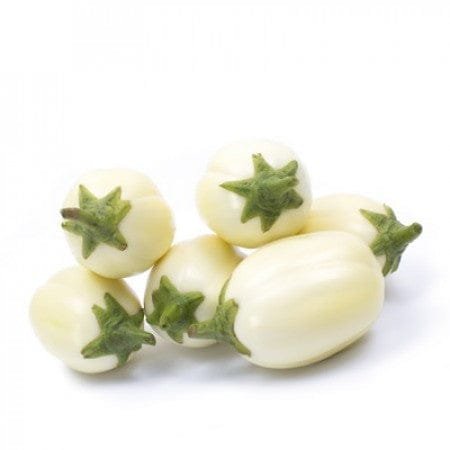 Aubergines africaine