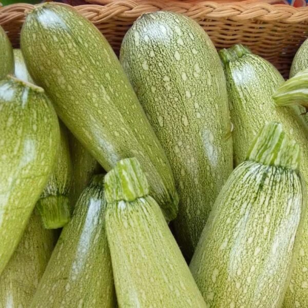 Mini courgettes
