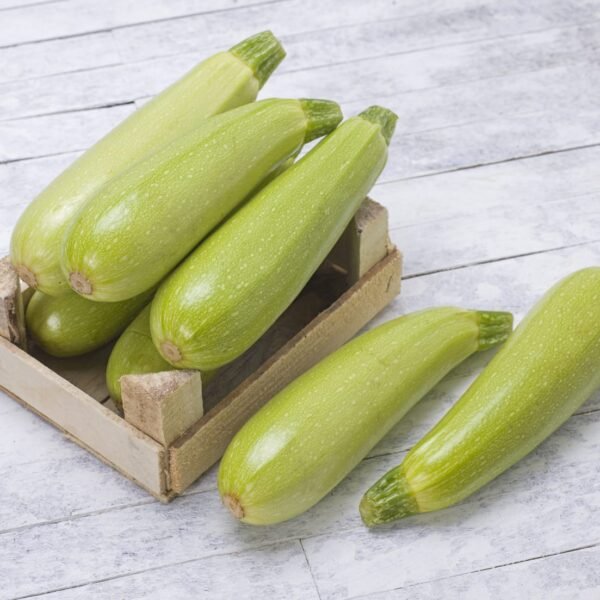 Mini courgettes long