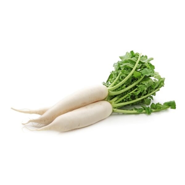 Radis blanc