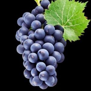 Raisin noir