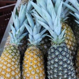 Ananas
