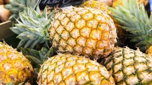 Ananas