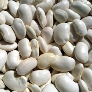 Haricots blancs