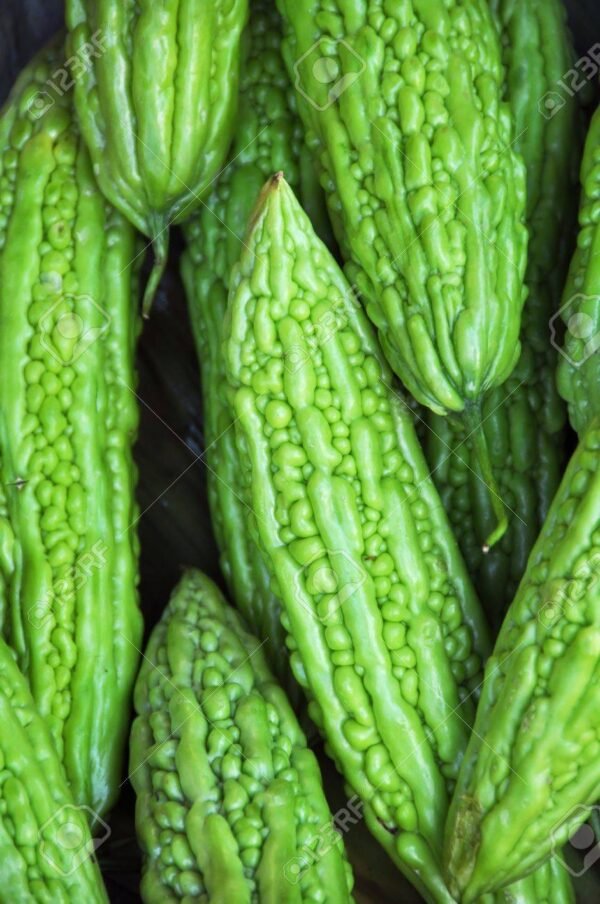 Courge Amère