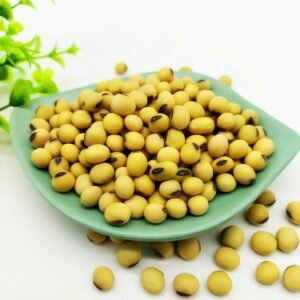Soja jaune