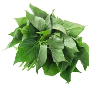 Feuilles de patate