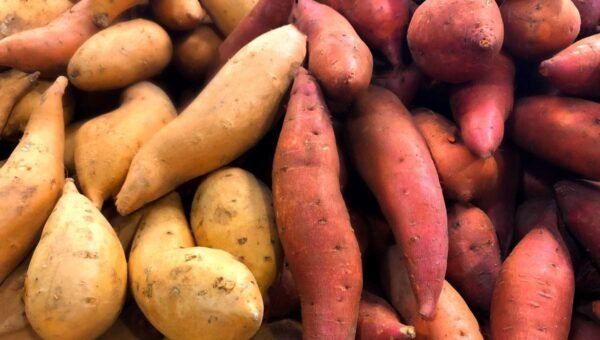 Patate douce