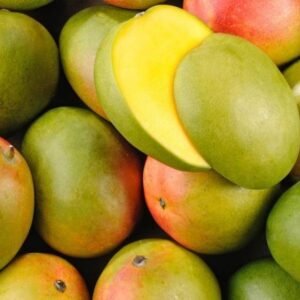 Mangue