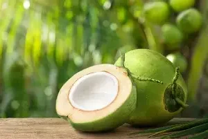 noix de coco frais